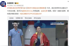 祝贺！陈芋汐、全红婵，包揽金银牌！图片