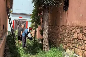 建清洁家园——徐家楼街道琵琶湾村开展环境卫生整治活动图片