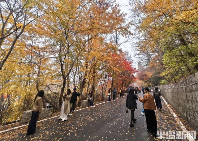 北九水网红路，周末打卡人气高！