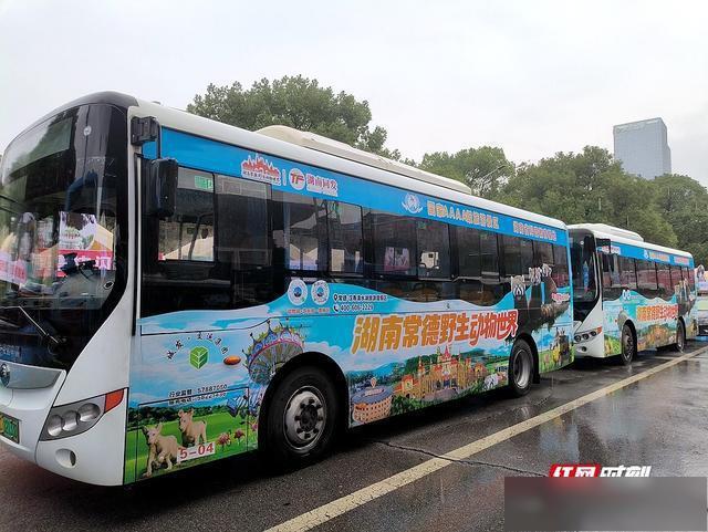 100台身披“常野生态画卷”的公交车在湘潭“上线”