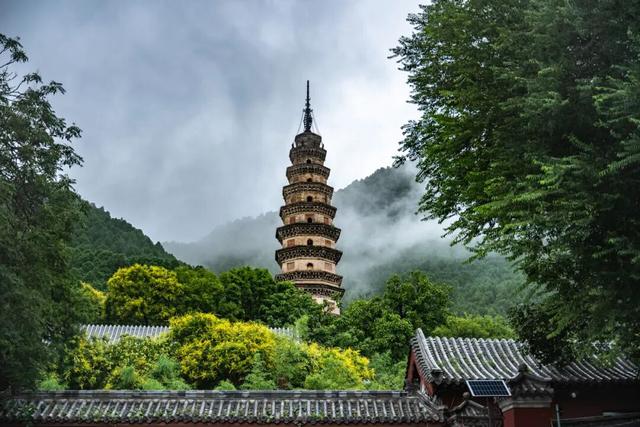 济南已明确：每年这两天，免费向他们开放！