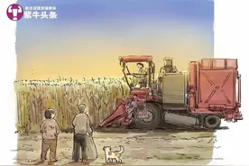 女农机手开着收割机走南闯北，免费为老人收割玉米被画成漫画走红图片