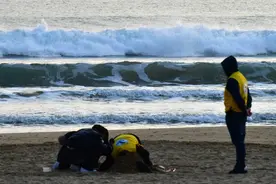 一周内两次！韩媒：浦项一海滨浴场惊现疑似人骨碎片，报案人为同一市民图片