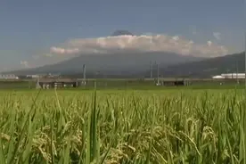 日本富士山今年登山季开启，首次收费并限流图片