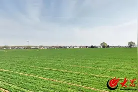 洪绪镇春耕进行时：开启全年丰收新征程图片