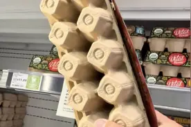 美国一枚鸡蛋高达7元人民币 墨西哥毒贩变“蛋贩”图片