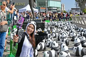 仿真导游带领2500只大熊猫雕塑香港游，游客穿熊猫装打卡图片