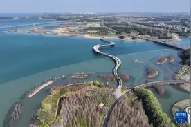 江苏吴江：筑牢生态安全屏障 助力长三角一体化示范区建设图片