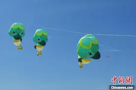 河北衡水：游客乐享五一假期图片