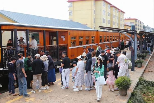 时速仅25公里！观光米轨小火车火了！