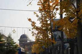 冬日暖阳，来徐泾这里邂逅浪漫→图片