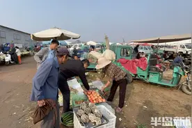 一线探访丨一年赶集200多天，买买买！农产品检测样本，他们是这样获得的图片