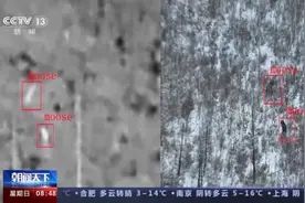 能上山会潜水，“比牛还大的鹿”种群数量迅速增长图片