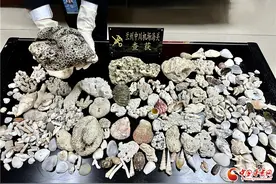 200余件物品！旅客违规携带珊瑚贝壳土壤等入境 兰州中川机场海关将其查获图片