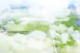 “三农”奋进路丨农村篇：广饶县大王镇引领乡村振兴新篇章 共筑城乡共富梦图片