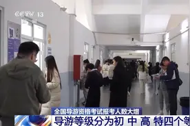 31万人报考，导游证好考吗？一文了解关于导游的那些事儿图片