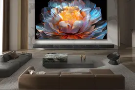 乐观！“国补”撬动2025大尺寸显示市场图片