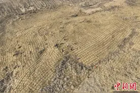 宁夏、内蒙古携手在毛乌素织“魔方”锁黄沙图片