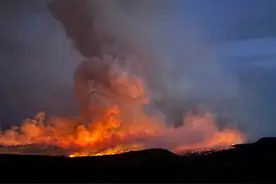 美国一男子火化宠物狗 意外引发森林火灾图片