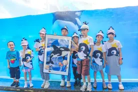 体长近5米，沪籍虎鲸宝宝胖豆丁三岁啦图片