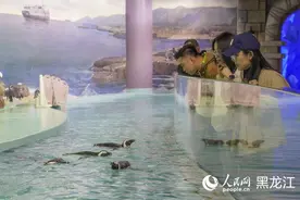 哈尔滨“春日经济”热度“续航” 清明小长假223．4万人次打卡图片