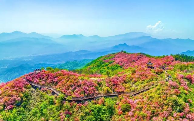 多款“春日良方”上线！来六安，治愈你的“节后综合征”→