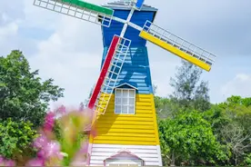 拼手速！免费学！高手带你解码摄影绝招……图片