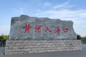 东营最美的季节到了！图片