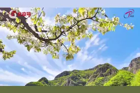 北京号带你逛北京 | 尽享田园风光，打卡平谷梨树沟休闲谷图片