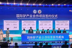 一头驴何以引来20个国家的友人？图片