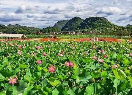 抓住暑假的尾巴 到这些地方玩玩