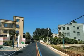 茂名电白区林头镇槟榔村：年例简办展新风，乡村面貌换新颜图片