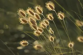 晨读 | 倪欢欢：夏天出汗多是在排毒吗图片