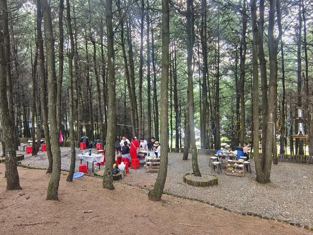 一个家庭的“小长假范本”：举家露营，在水城国家杜鹃公园