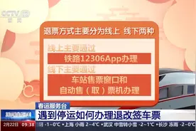 列车停运或晚点车票如何退改签？指南来了图片