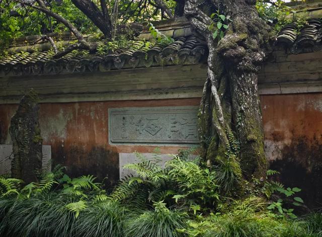 想搬去杭州了