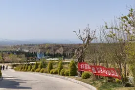买墓地也消费降级？记者实探：以前四五万的墓位现在两万多就卖图片
