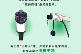 假如……“它”会说话图片