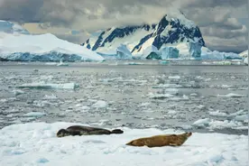 “南极之旅”途中被告知到不了南极！邮轮公司：钱只能退一半或者给代金券图片