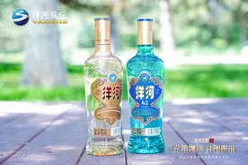 渠道蓄力、产品焕新，洋河股份交出年中成绩单图片