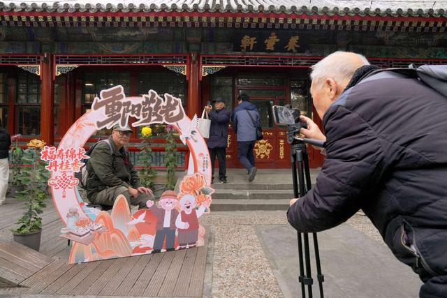 重阳赏菊正当时！颐和园组织多项科普活动