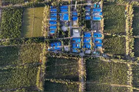 走进新疆生产建设兵团：城乡面貌日益新图片