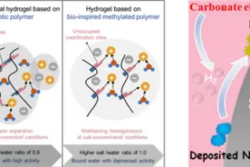 低成本高安全钠离子电池领域研究获进展图片