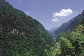 【守护青山·书写绿意】麻阳河畔的“活地图”：一位护林员的38载青山路图片