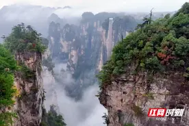 感恩回馈张家界市民 最低66元不限次乘坐“三索一梯”图片