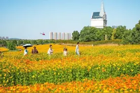 最新数据出炉！国庆长假过半，武汉哪些地方人气旺？图片