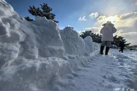 烟台暴雪！积雪深度已突破历史纪录图片