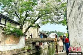 一树楝花“吸粉”年轻姑娘 古城历史街区出圈又出片图片