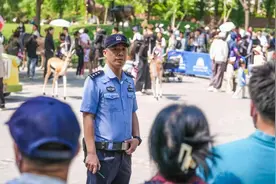 警探号｜北京野生动物园迎来客流高峰 早上8点106国道上就有车排队图片