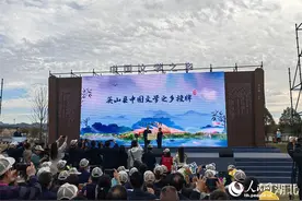 湖北省首家！英山县获评“中国文学之乡”图片